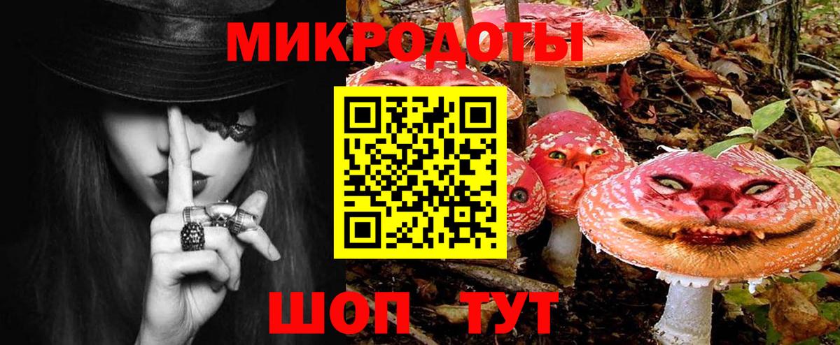 Галлюциногенные грибы Psilocybe Похвистнево
